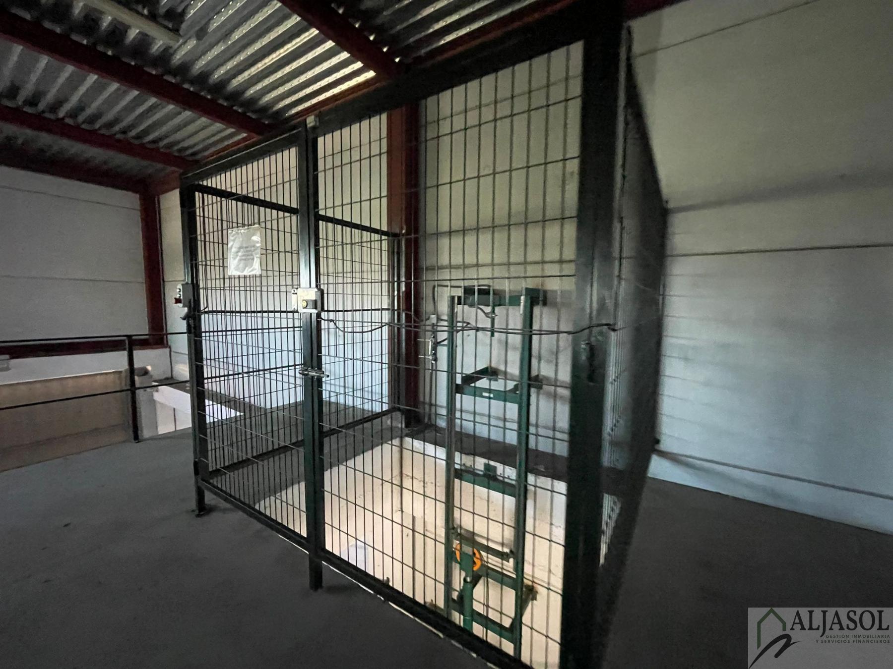 For sale of industrial plant/warehouse in Bollullos de la Mitación