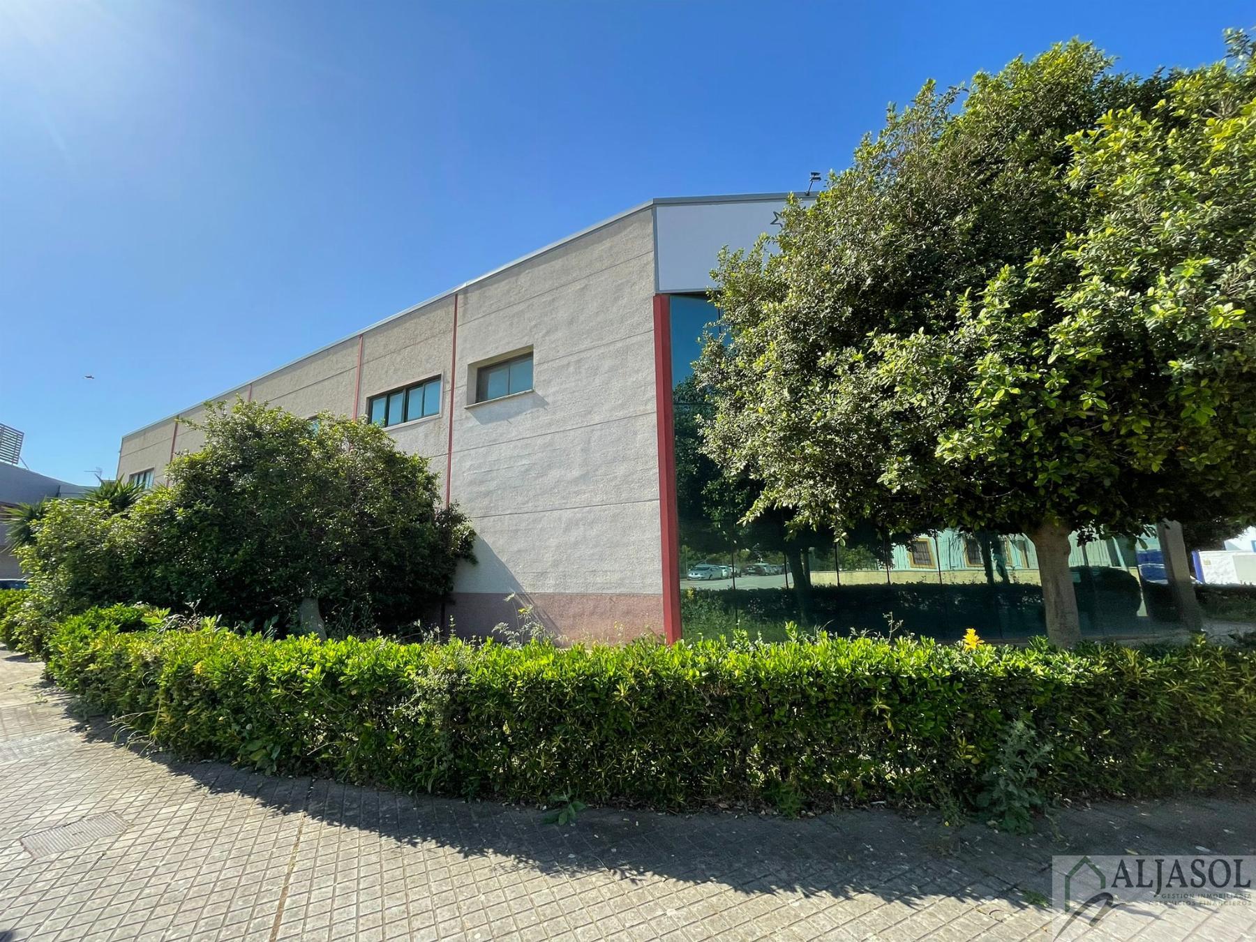 For sale of industrial plant/warehouse in Bollullos de la Mitación