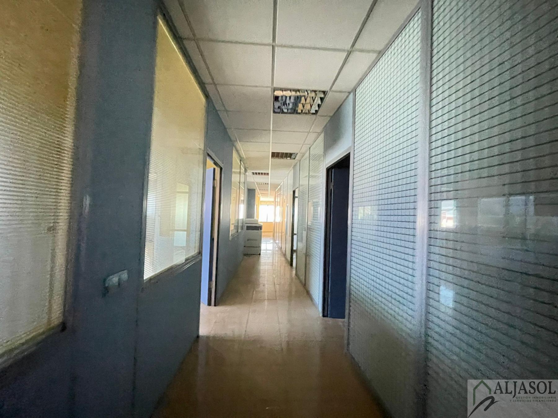 For sale of industrial plant/warehouse in Bollullos de la Mitación