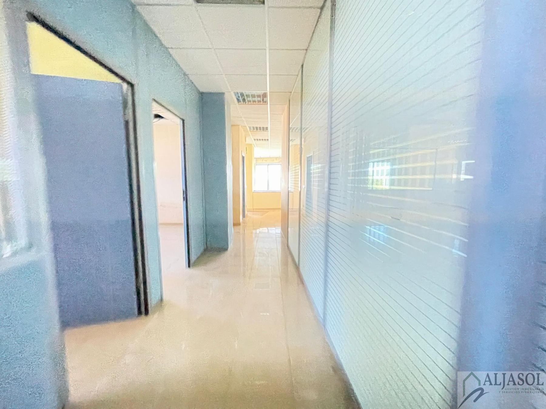 For sale of industrial plant/warehouse in Bollullos de la Mitación
