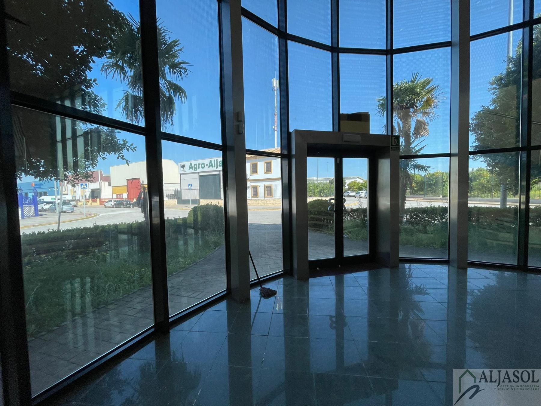 For sale of industrial plant/warehouse in Bollullos de la Mitación