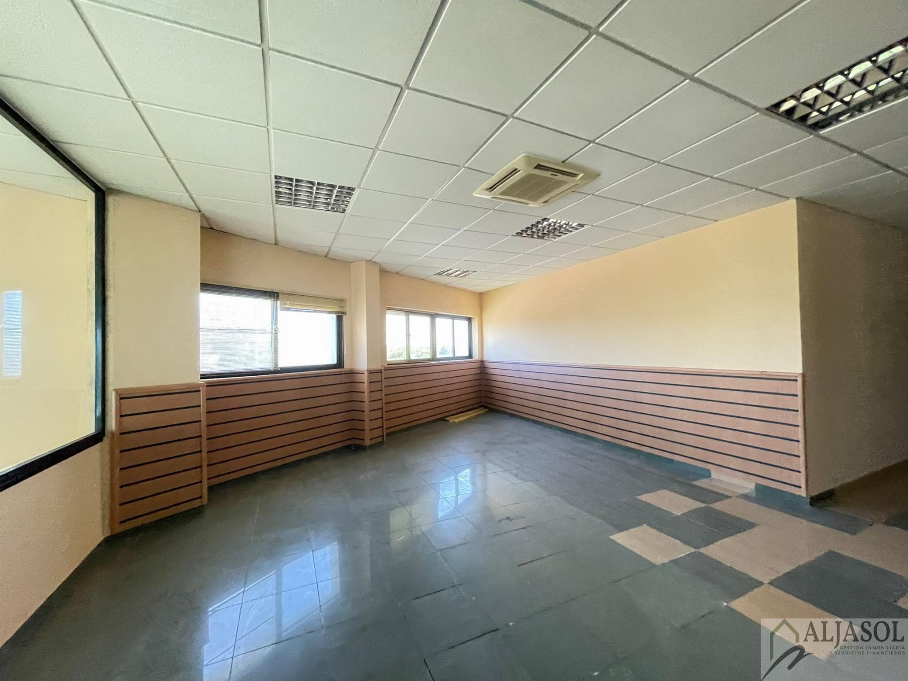 For sale of industrial plant/warehouse in Bollullos de la Mitación