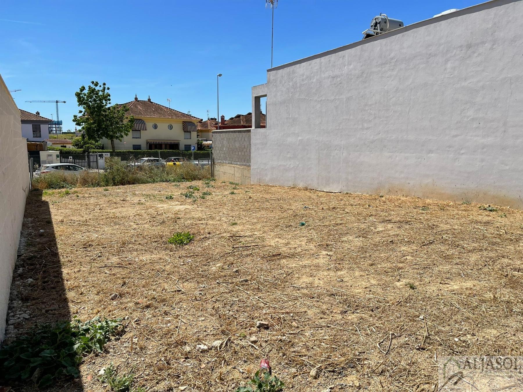 For sale of land in Bormujos
