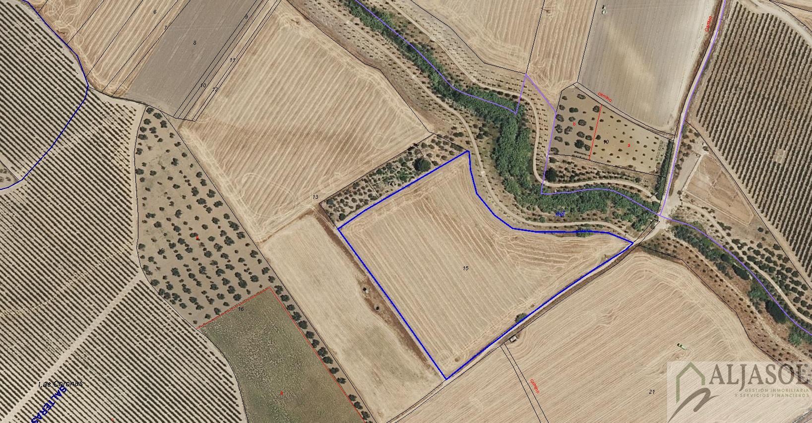 For sale of rural property in Salteras