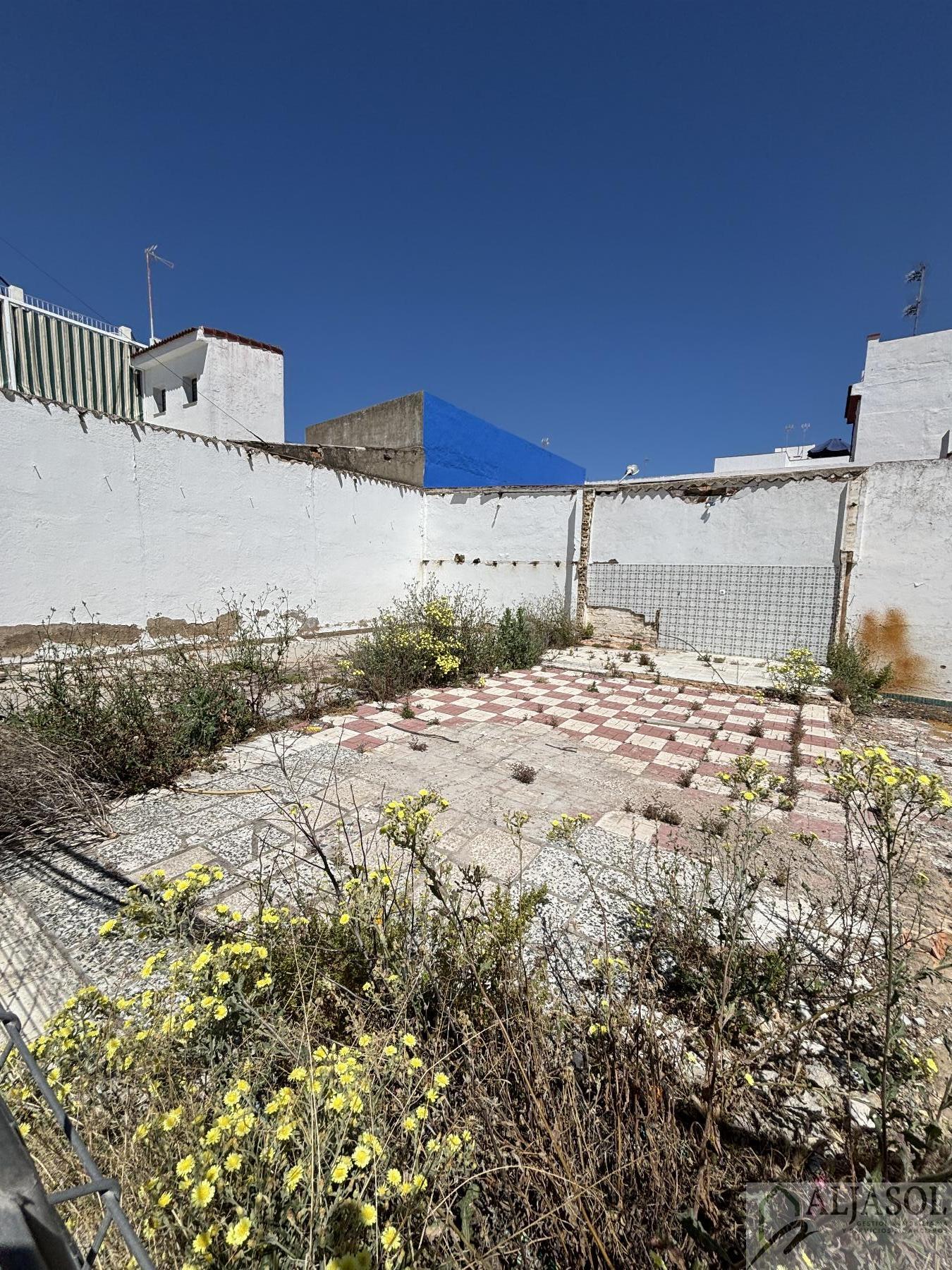 For sale of land in Castilleja de la Cuesta