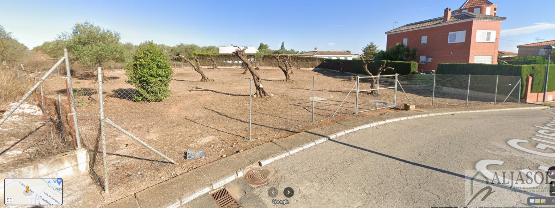 For sale of land in Bollullos de la Mitación