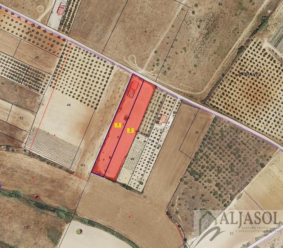 Venta de finca rústica en Moguer