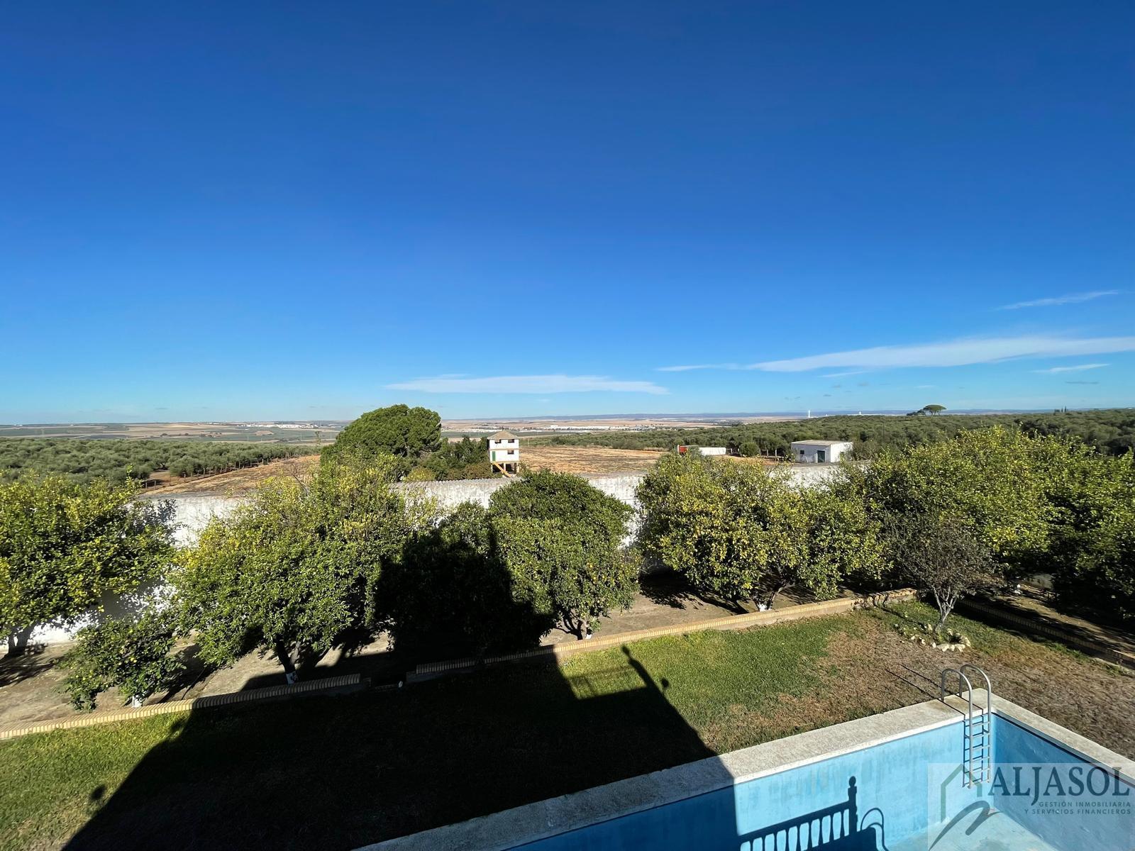 For sale of rural property in Benacazón