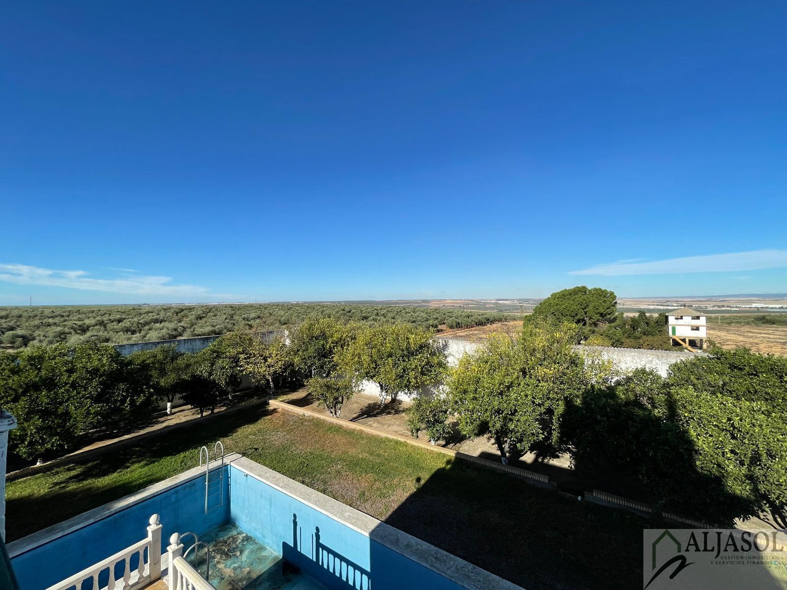 For sale of rural property in Benacazón