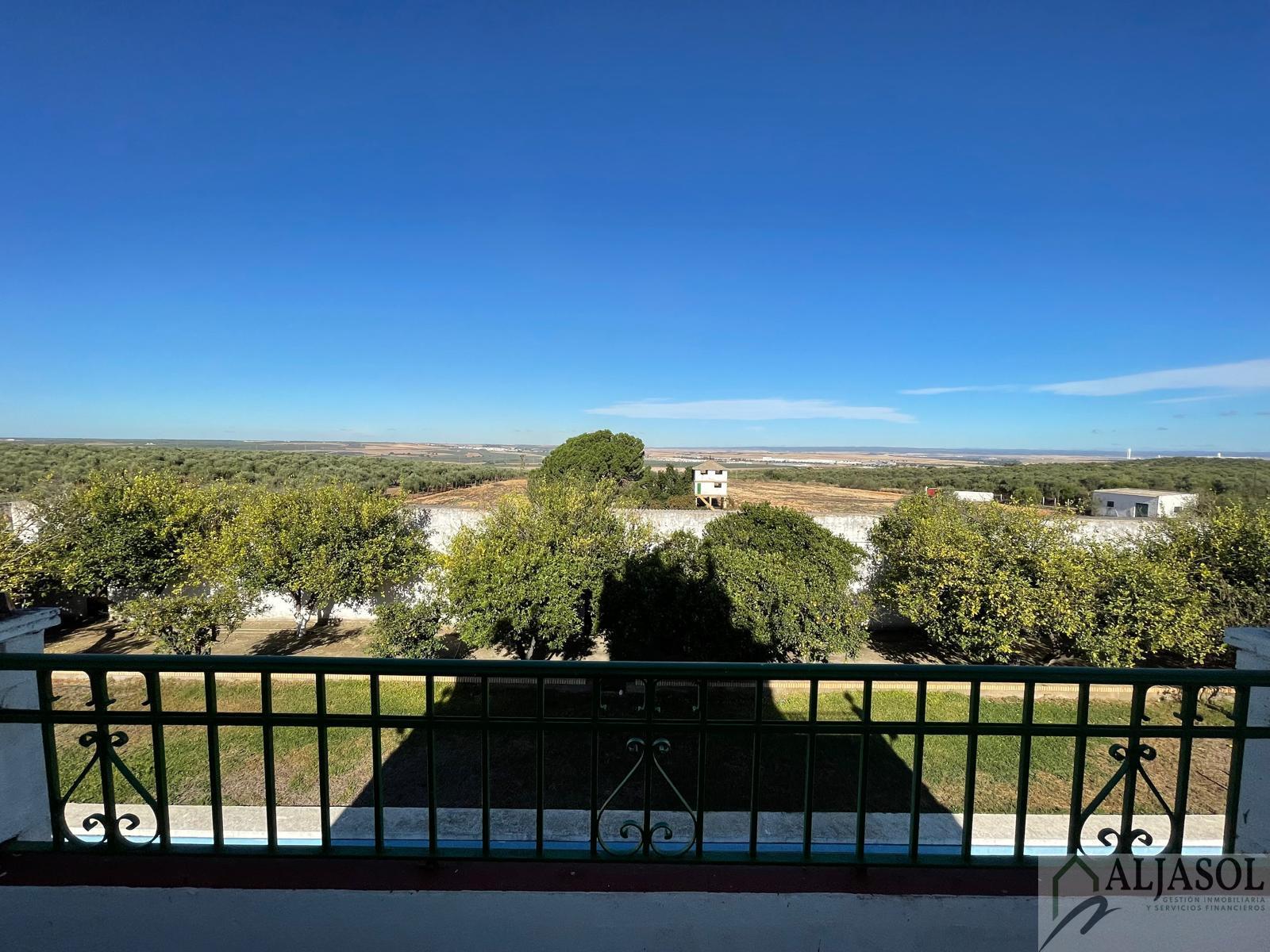 For sale of rural property in Benacazón