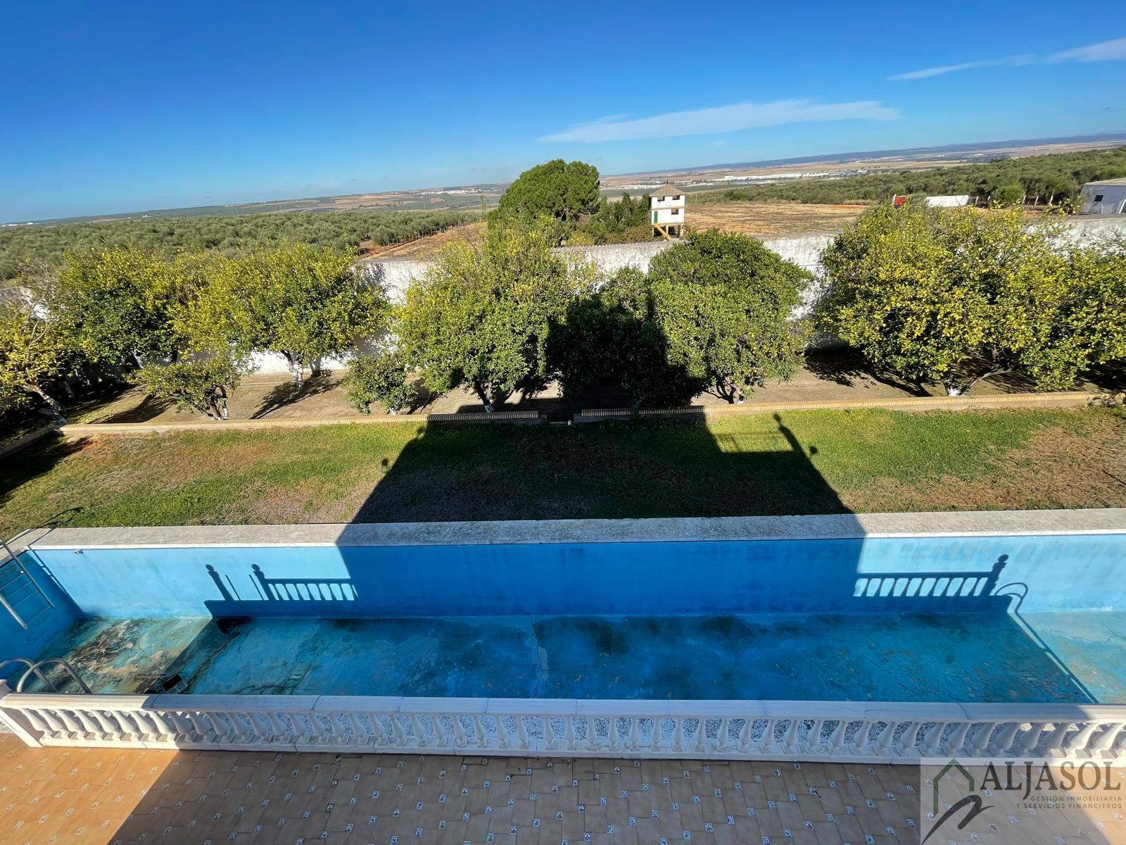 For sale of rural property in Benacazón
