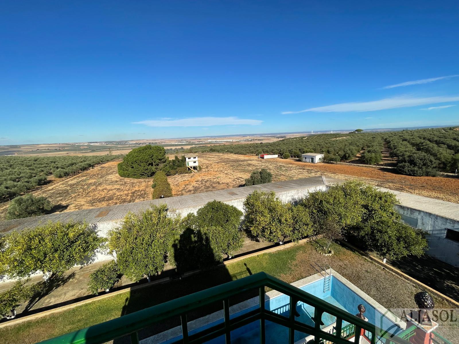 For sale of rural property in Benacazón