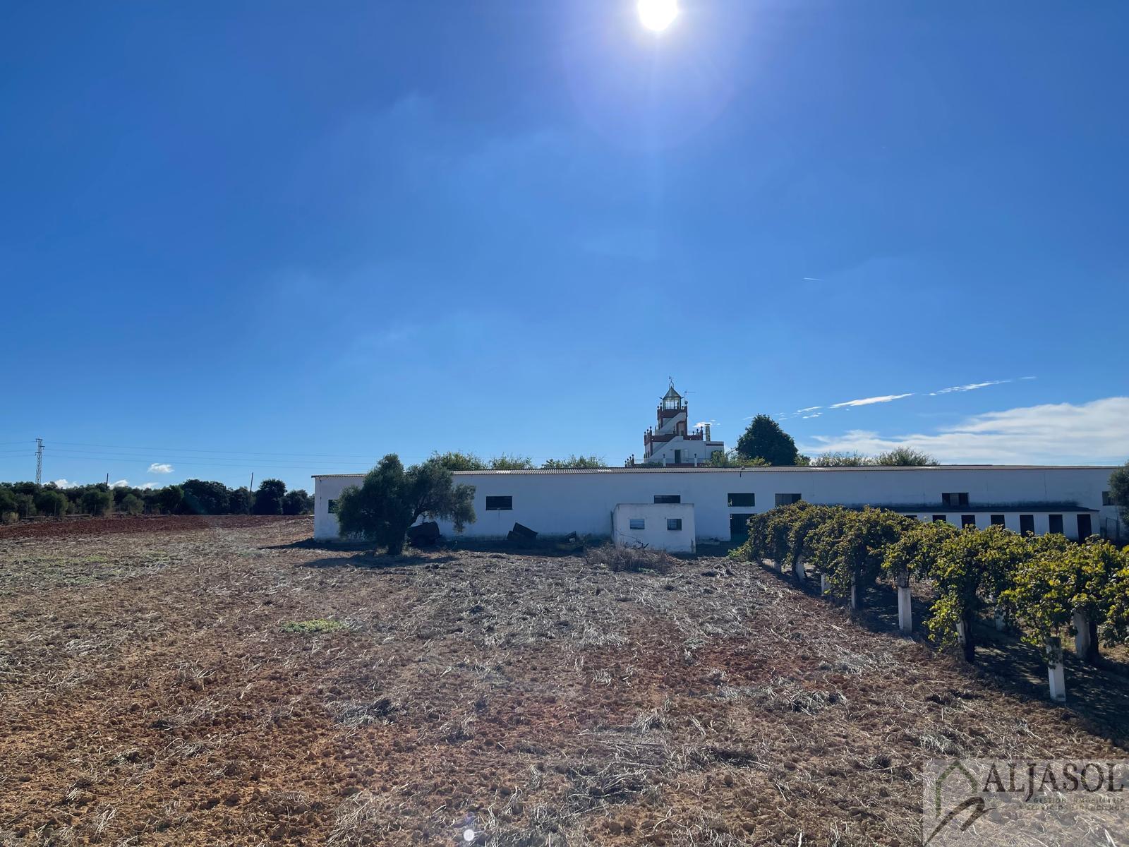 For sale of rural property in Benacazón