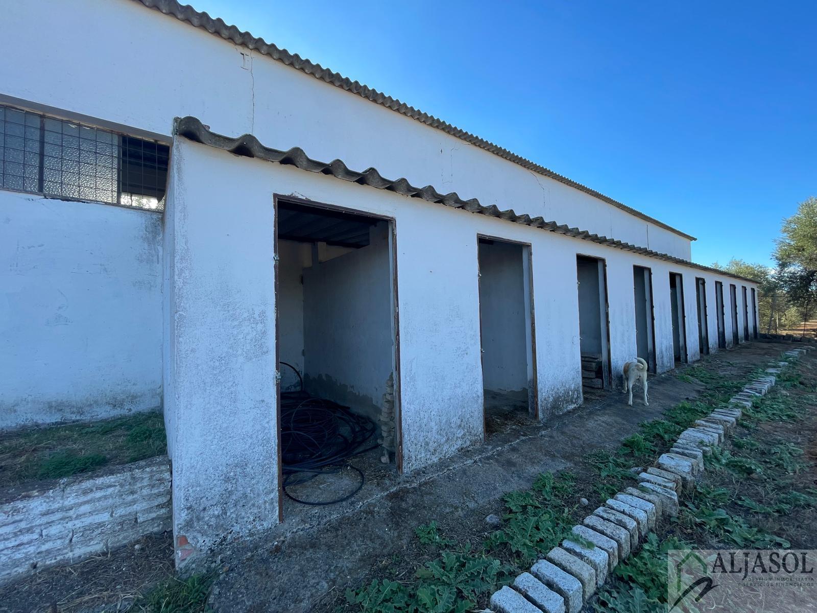 For sale of rural property in Benacazón