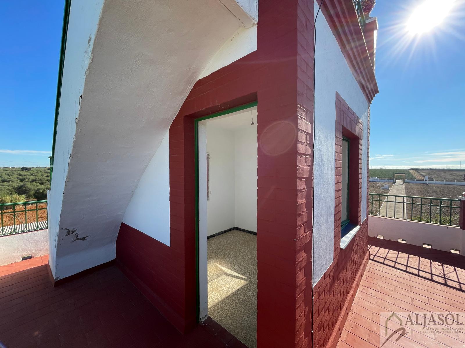 For sale of rural property in Benacazón