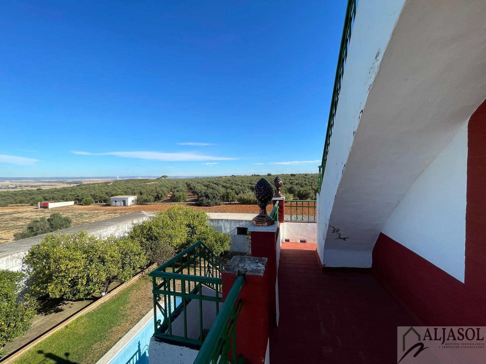 For sale of rural property in Benacazón