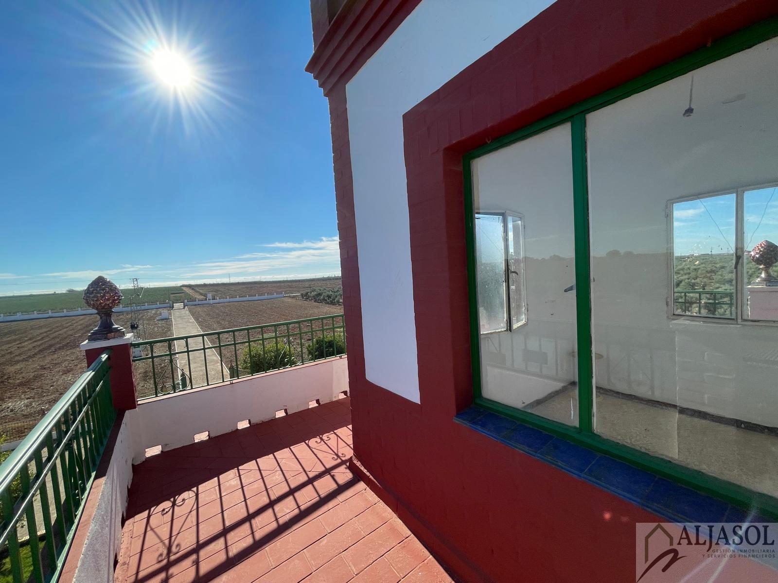 For sale of rural property in Benacazón