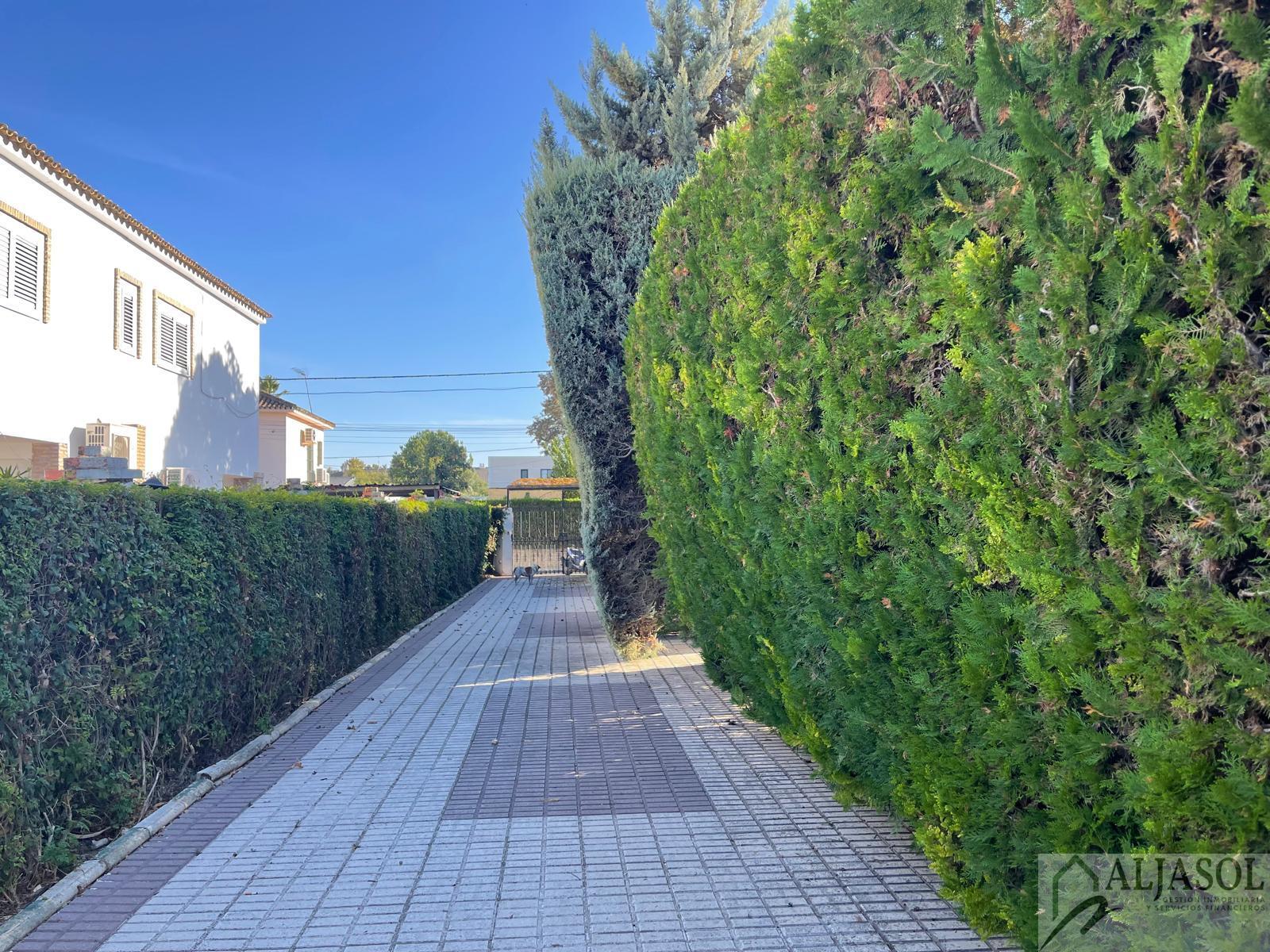 For sale of chalet in Palomares del Río