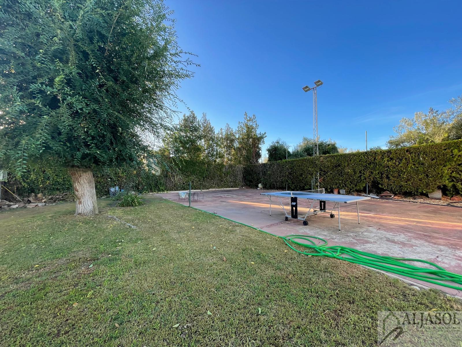Venta de terreno en Palomares del Río