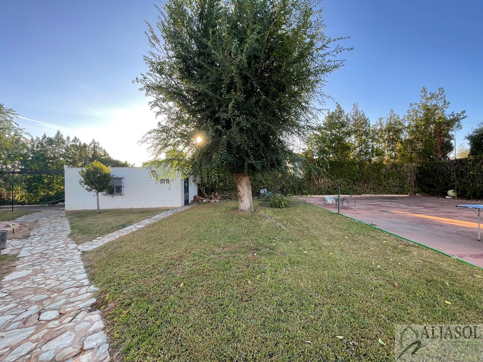 For sale of land in Palomares del Río