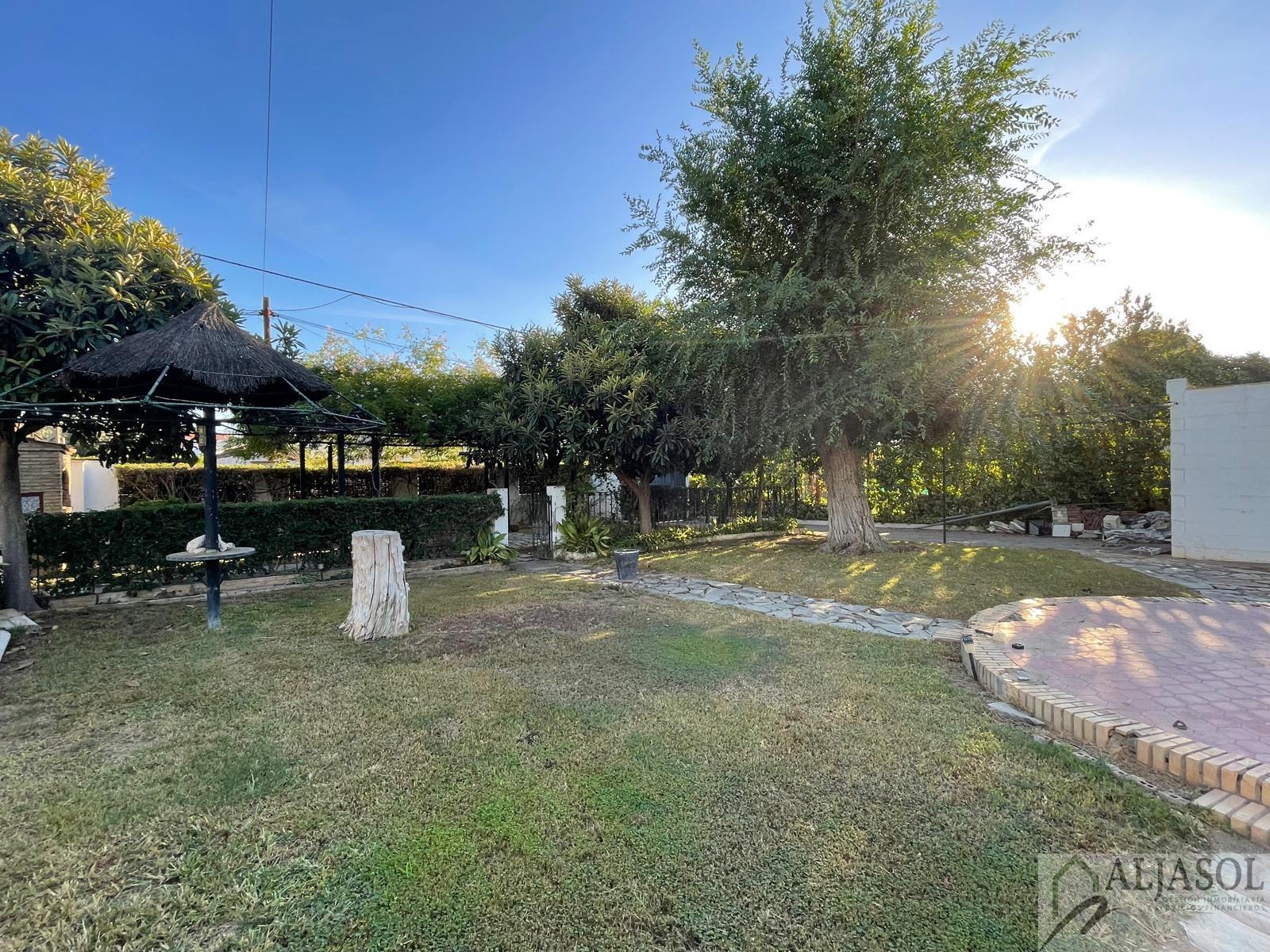 Venta de terreno en Palomares del Río