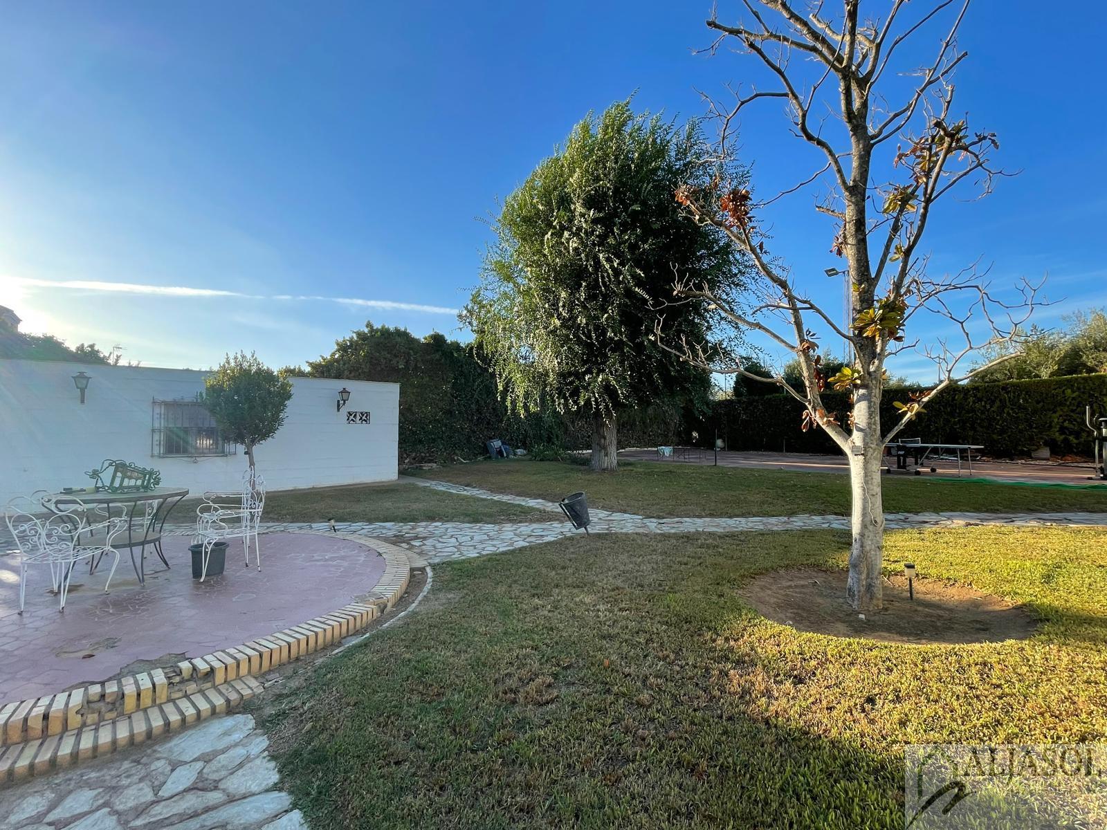 Venta de terreno en Palomares del Río