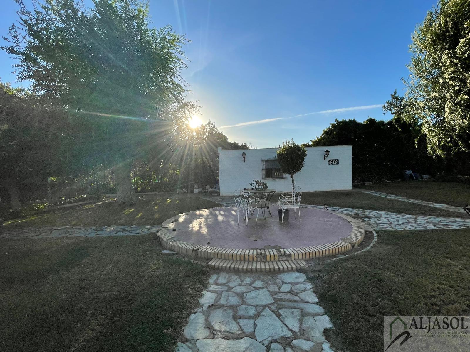 Venta de terreno en Palomares del Río