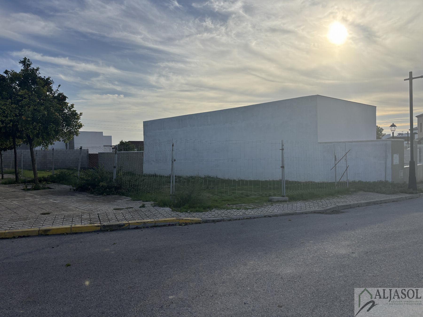 For sale of land in Salteras
