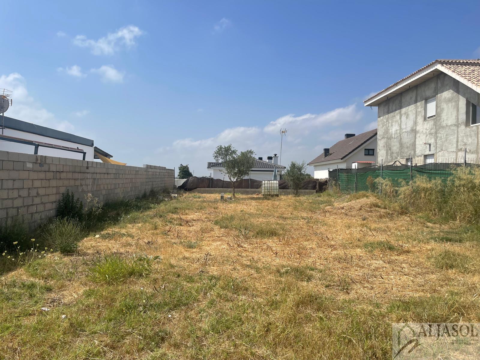 For sale of land in Palomares del Río