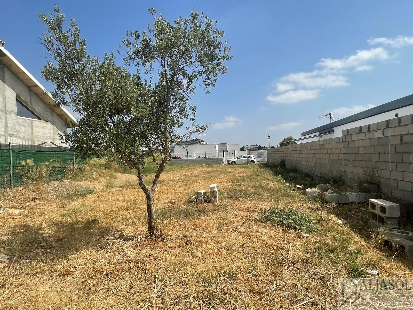 For sale of land in Palomares del Río