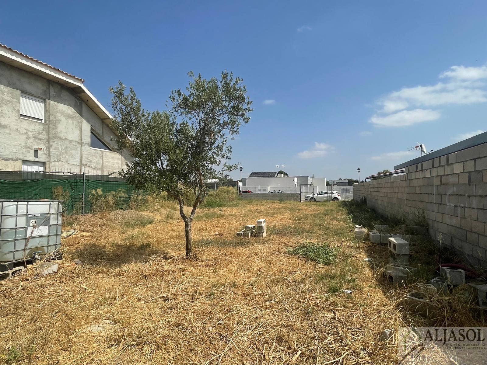 For sale of land in Palomares del Río