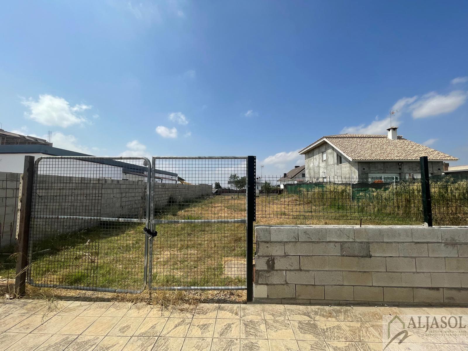 For sale of land in Palomares del Río