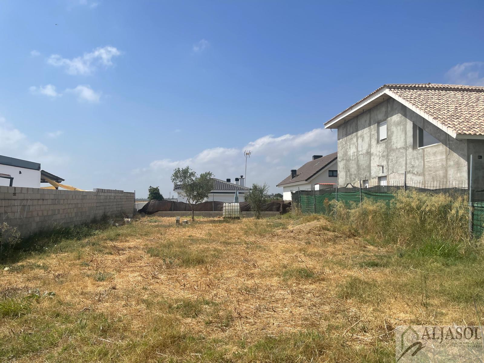 For sale of land in Palomares del Río