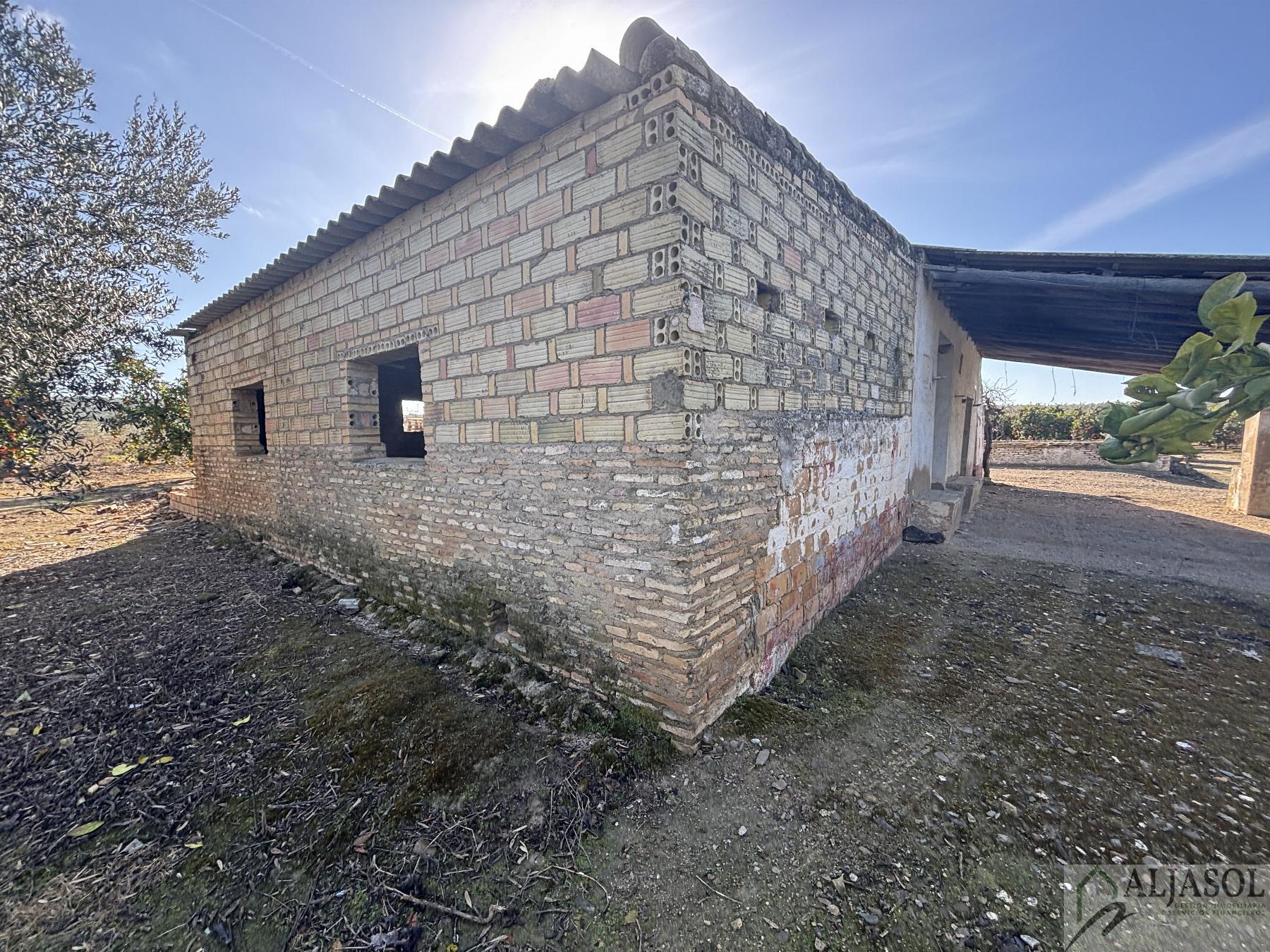For sale of rural property in Sanlúcar la Mayor