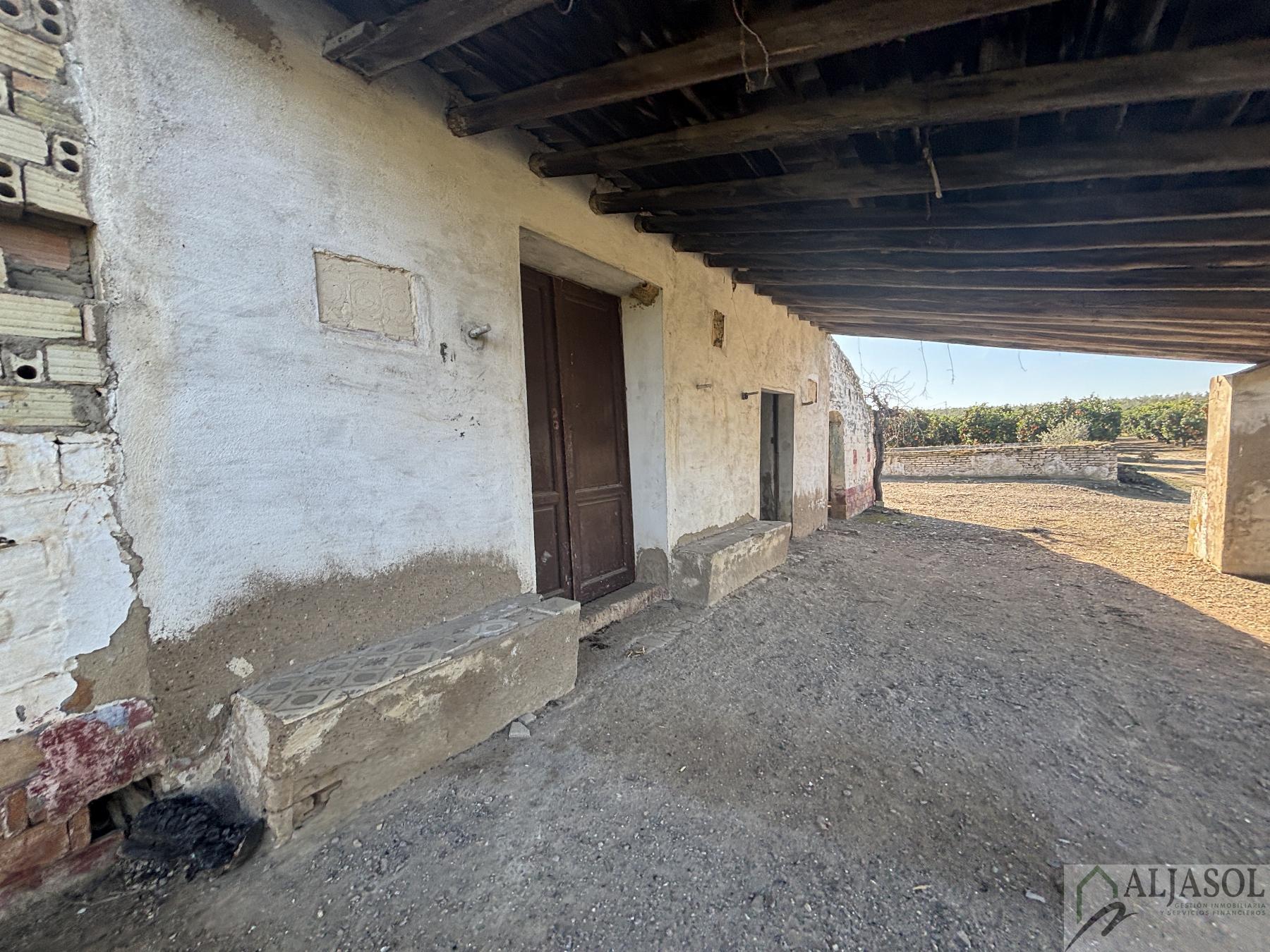 For sale of rural property in Sanlúcar la Mayor