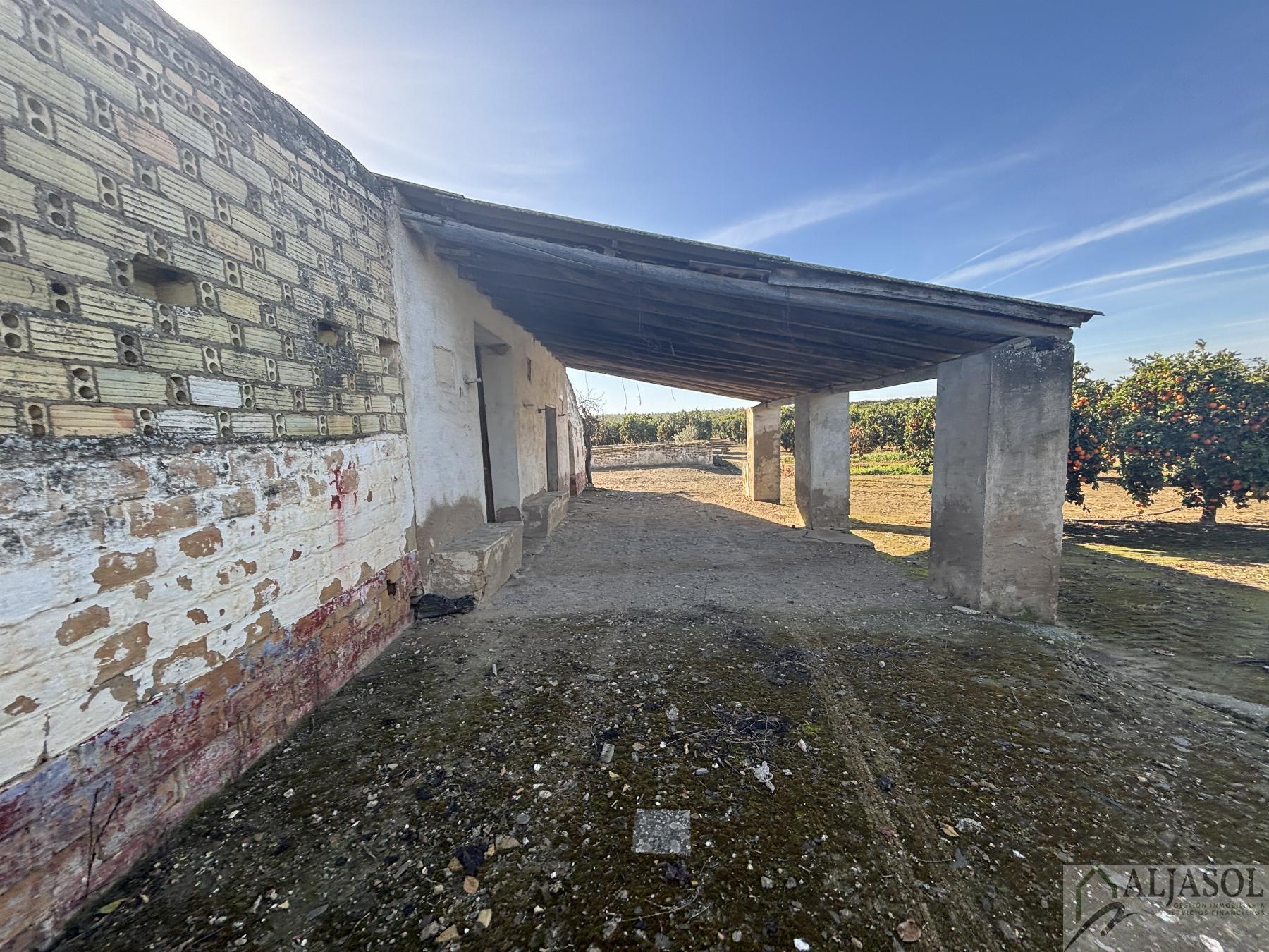 For sale of rural property in Sanlúcar la Mayor