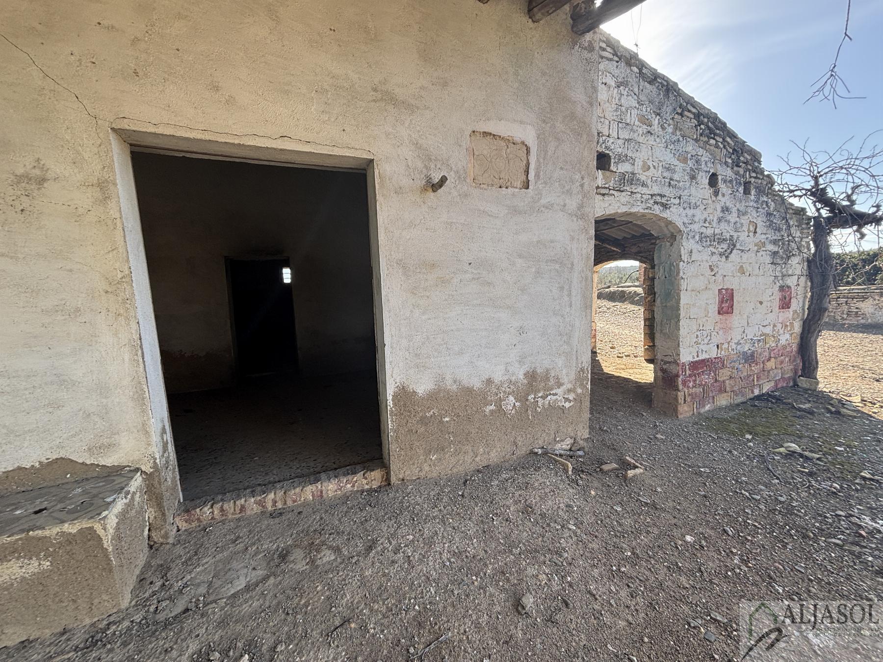 For sale of rural property in Sanlúcar la Mayor