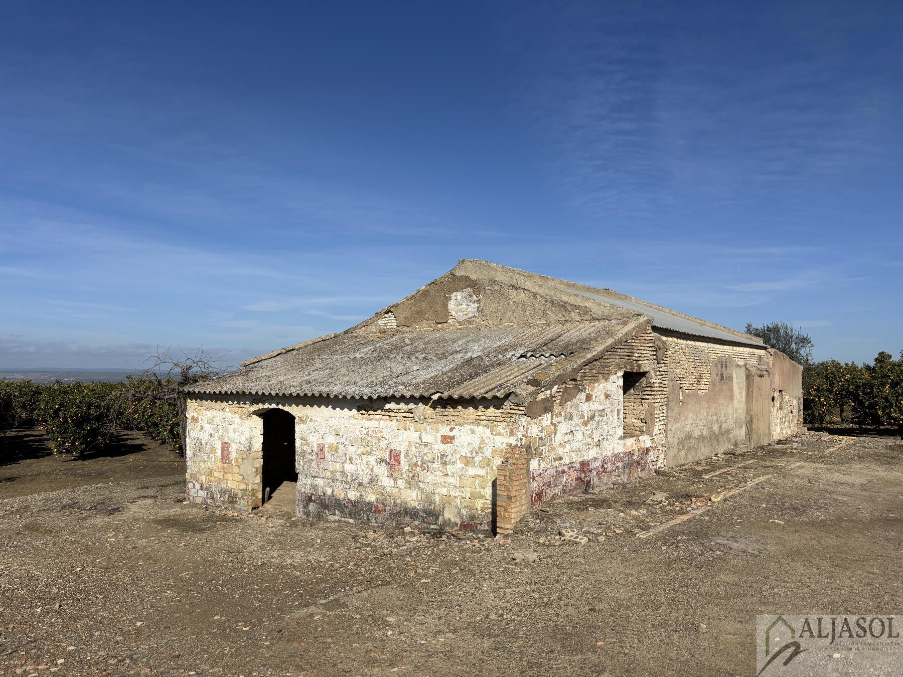 For sale of rural property in Sanlúcar la Mayor