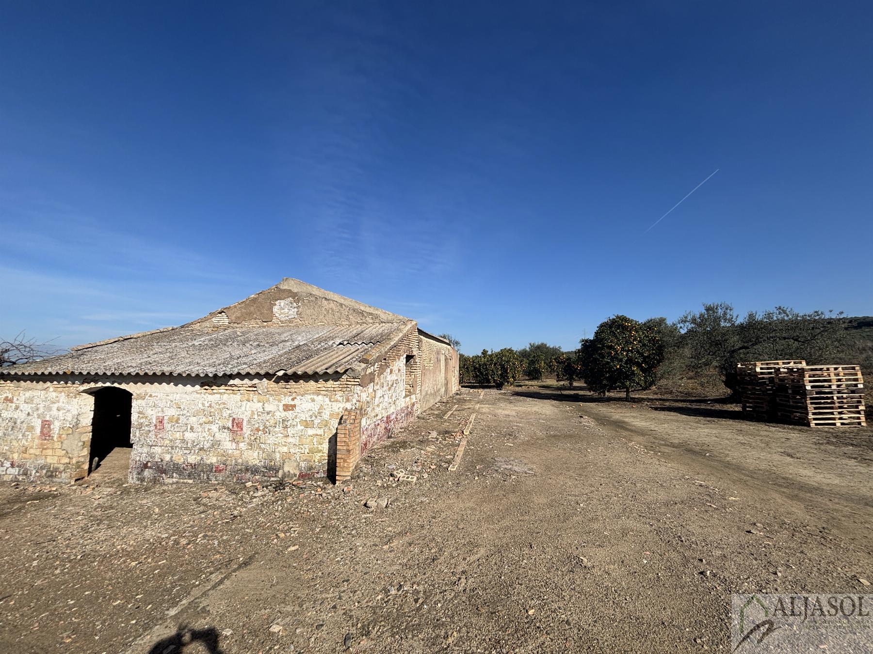 For sale of rural property in Sanlúcar la Mayor