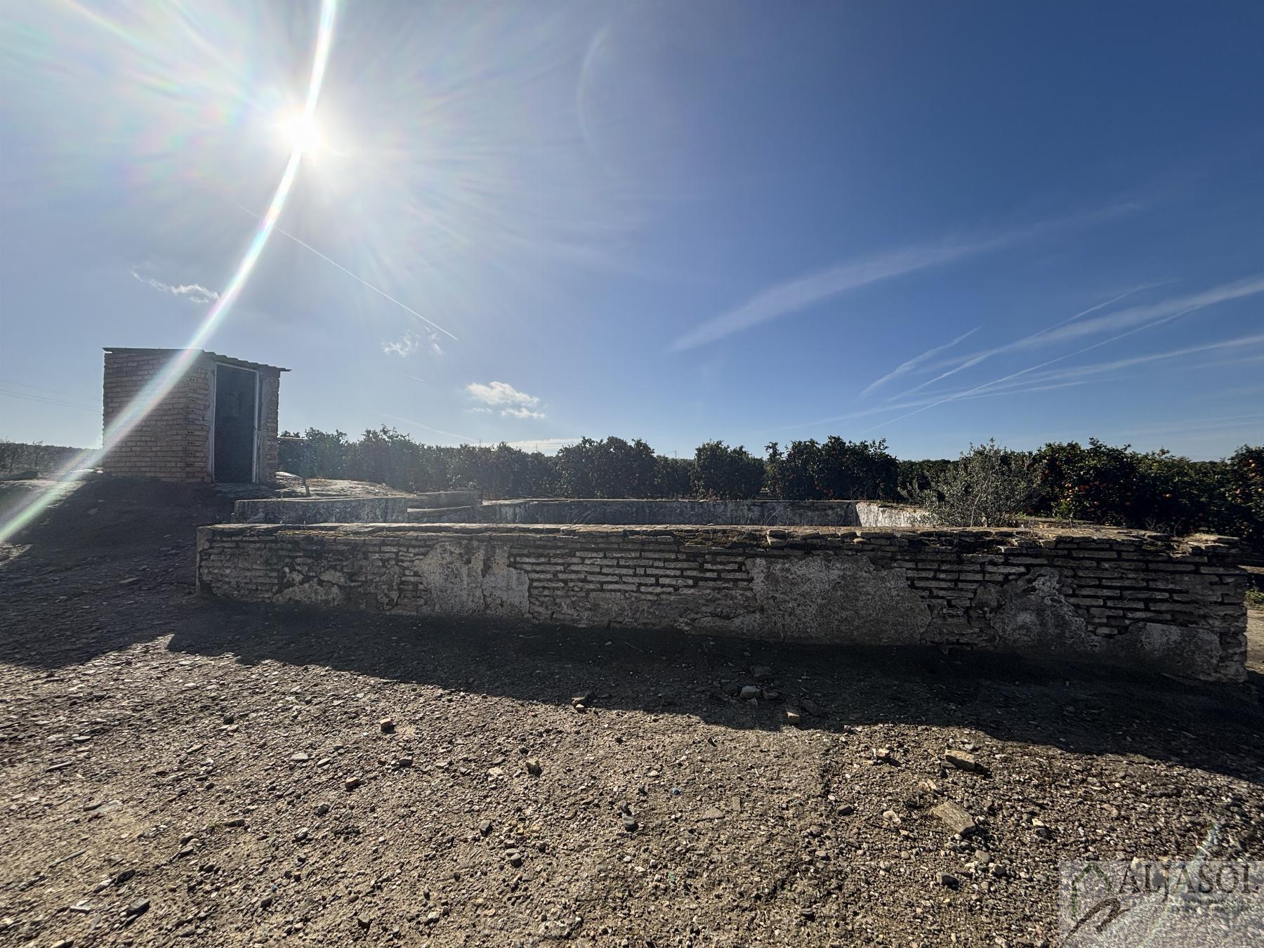 For sale of rural property in Sanlúcar la Mayor