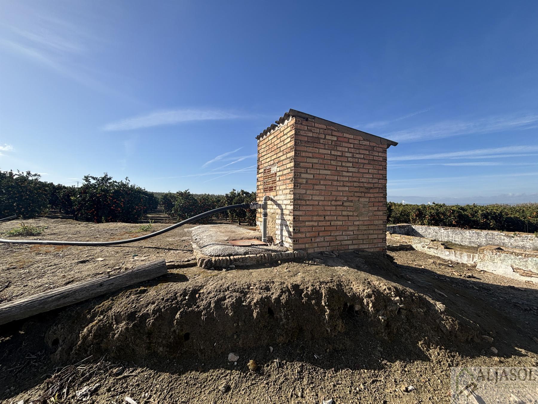 For sale of rural property in Sanlúcar la Mayor