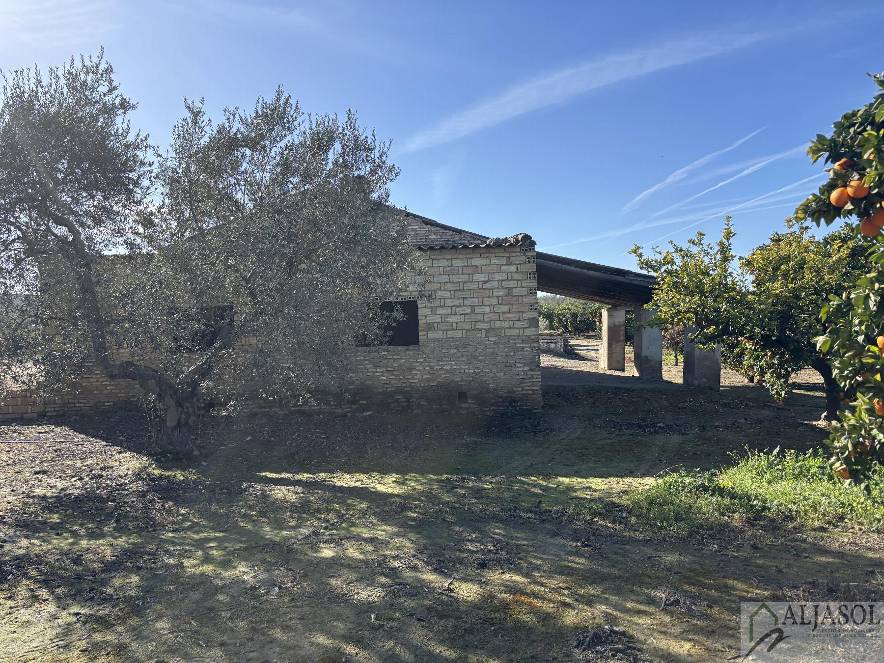For sale of rural property in Sanlúcar la Mayor