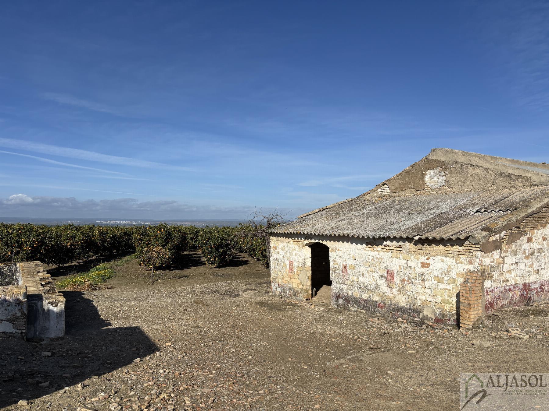 For sale of rural property in Sanlúcar la Mayor