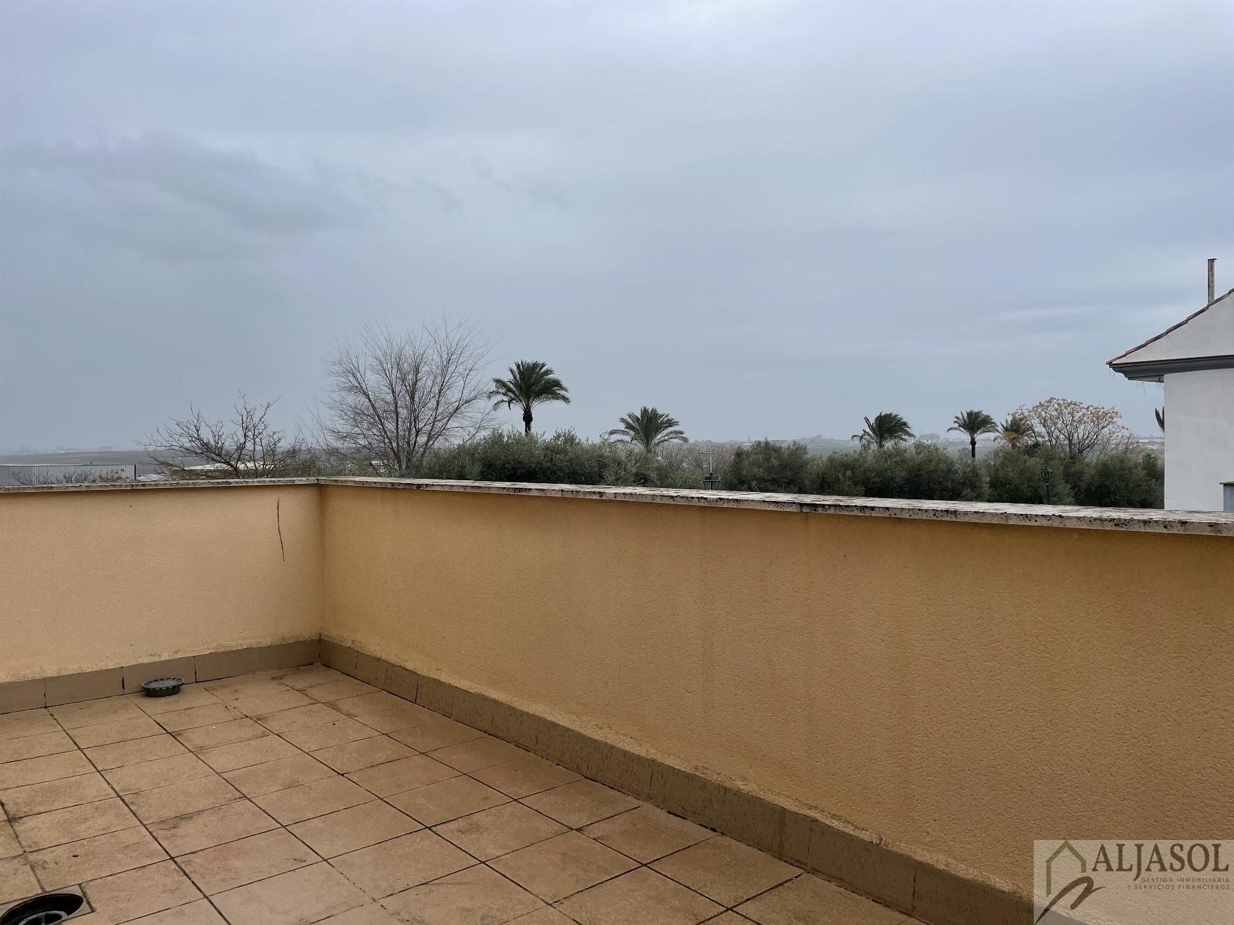 For sale of house in Salteras