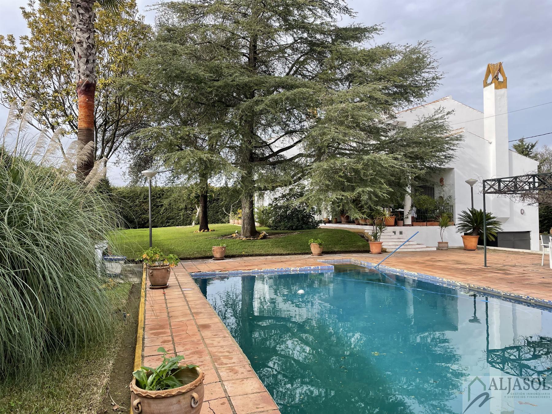 Venta de chalet en Sanlúcar la Mayor