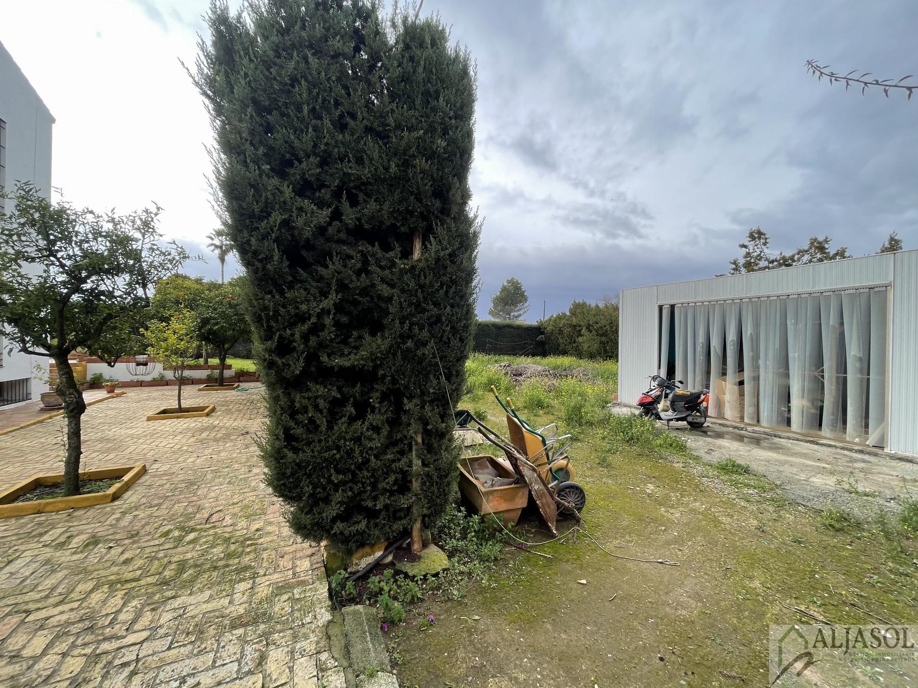 Venta de chalet en Sanlúcar la Mayor