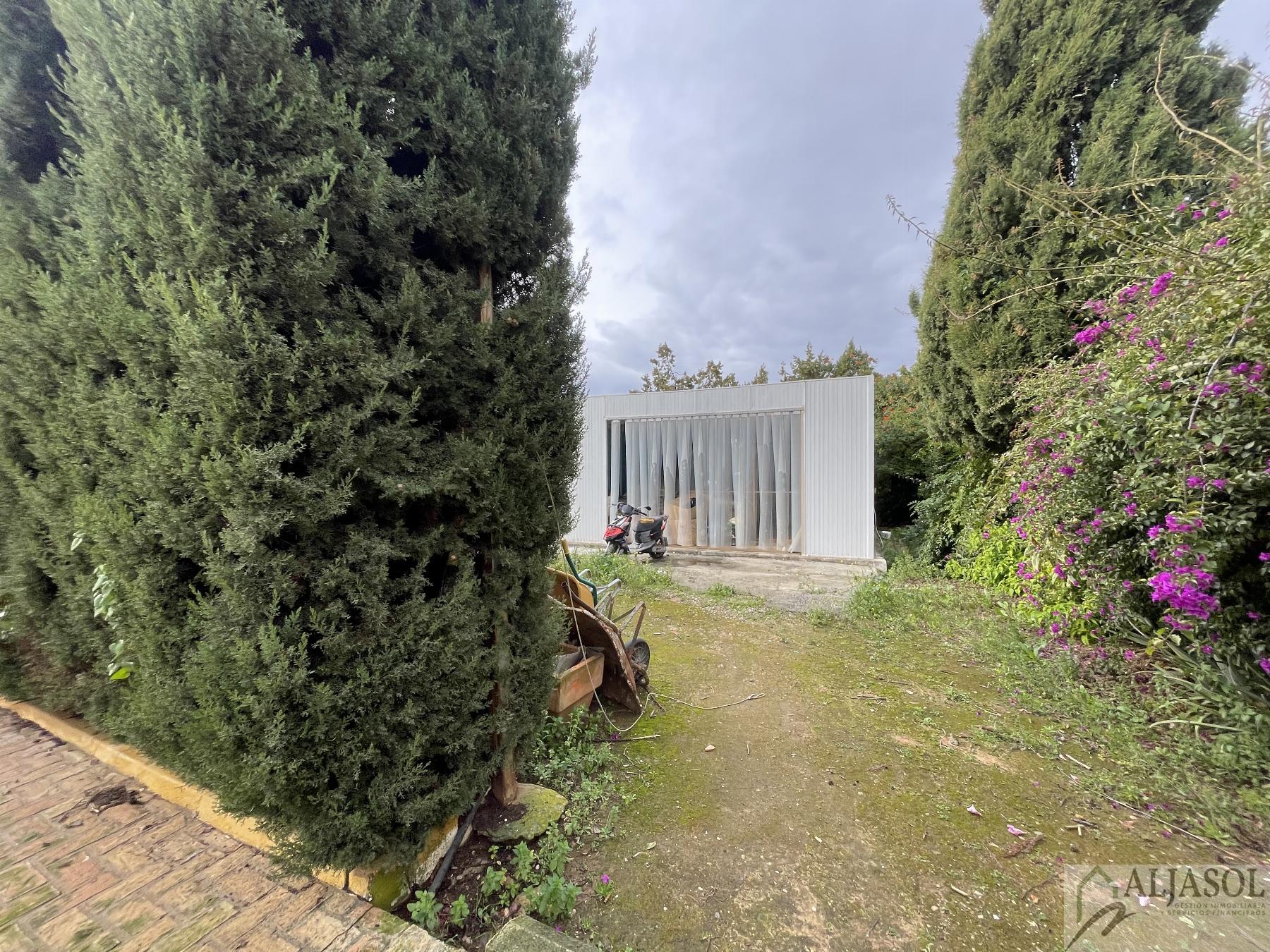 Venta de chalet en Sanlúcar la Mayor