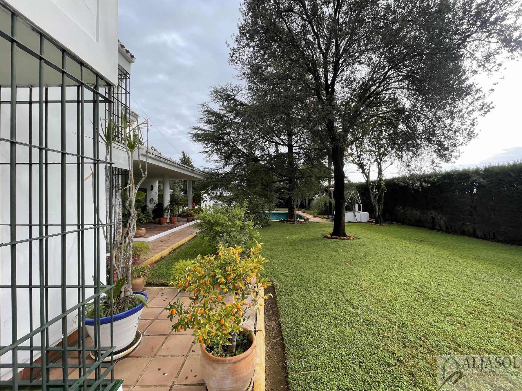 Venta de chalet en Sanlúcar la Mayor