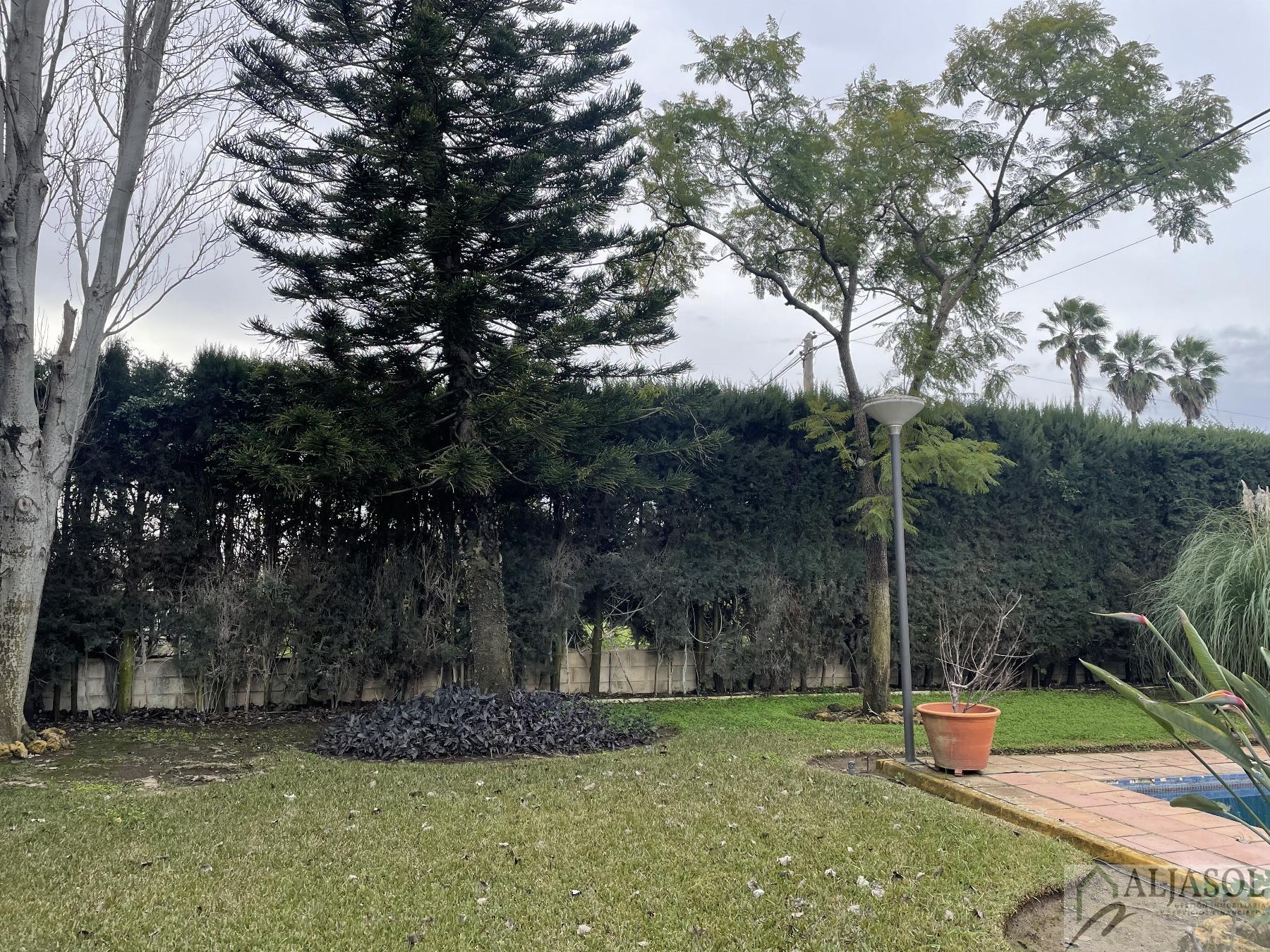 Venta de chalet en Sanlúcar la Mayor