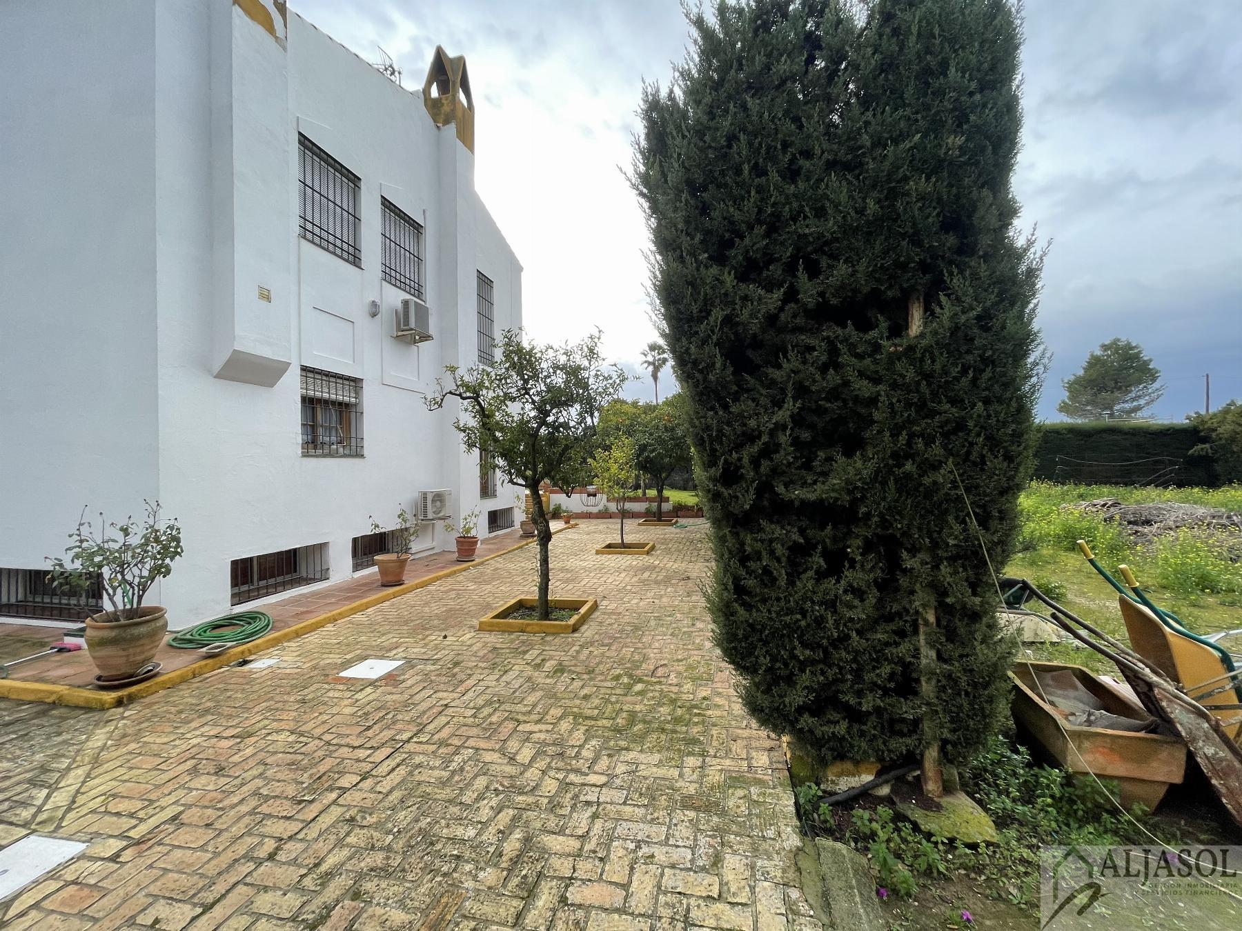 Venta de chalet en Sanlúcar la Mayor